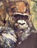 [Elon Animal Scans] Painted by Beth Erland, I Could Be You (Gorilla)