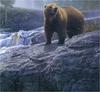 [Elon Animal Scans] Painted by Daniel Smith, Rocky Cascade (Brown Bear)