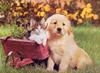 [GrayCreek Scans - 2002 Calendar] Puppies & Kittens