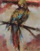 [FlowerChild scans - Wildlife-Birds] Painted by Ramon Kelley, Looking Pretty-Parrot