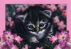 [FlowerChild scans] Painted by Jenny Newfand, Bright Eyes
