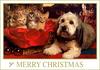 [FlowerChild scans] Christmas Card - Puppy & Kittens