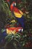 [FlowerChild scans] Painted by Laura Hulbert, Primarily Tropical with Passion