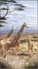 [FlowerChild scans] Painted by Rick Kelley, Giraffes in Serengeti
