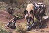 [FlowerChild scans] Painted by Shannon Johnson, African Wild Dogs