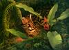 [FlowerChild scans] (Big Cats) Painted by Greg Beecham, El Mano del Creador