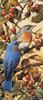 [FlowerChild scans] Painted by Carl Brenders, Bluebirds