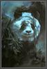 [CameoRose scan] Painted by Donna L. Arntzen, The Endangered Panda
