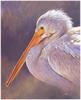 [CameoRose scan] Painted by Edward Aldrich, Pelican Portrait
