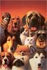 [CameoRose scan] Painted by Leland Klanderman, Ralston Purina Poster