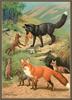 [CameoRose scan] Painted by Walter Webber, Alaska Red Fox