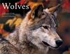 [CPerrien scan] Wolves - A Sierra Club 2000 Calendar: Front