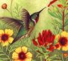 [LRS Art Medley] Claudia Nice, Hummingbird