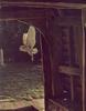 [LRS Art Medley] Robert Bateman, Barn Owl