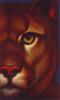 [LRS Art Medley] Richard Cowdrey, Eye of the Puma