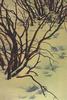 [LRS Art Medley] Bev Doolittle, Snowshoe Tracks