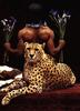 [LRS Art Medley] Vavra's Cats, Cheetah