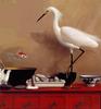 [LRS Art Medley] Jason Wheatley, Posturing Egret