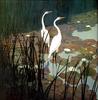 [LRS Art Medley] N.C. Wyeth, Egrets