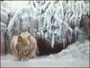 [LRS Animals In Art] Robert Bateman, Dozing Lynx