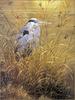 [LRS Animals In Art] Robert Bateman, Grassy Bank Great Blue Heron
