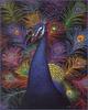 [LRS Animals In Art] Jon Ellis, Myopic Peacock