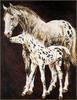 [LRS Animals In Art] Ethelinda, Crystaland Foal
