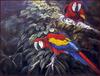 [LRS Animals In Art] Gamini Ratnavira, Macaw Talk