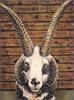 [LRS Barnyard Bestiary] Allen Kimball, Jacob Sheep