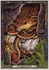 [LRS - The Druid Animal Oracle] Painted by Bill Worthington, Earth Dragon