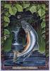 [LRS - The Druid Animal Oracle] Painted by Bill Worthington, Salmon