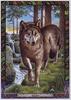 [LRS - The Druid Animal Oracle] Painted by Bill Worthington, Wolf