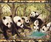 [LRS - The Waterhole] Painted by Graeme Base, Pandas