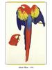 [Ollie Scan] Scarlet Macaw (1984)