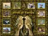 Birds of Europe - Index 018