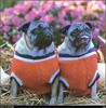 [RattlerScans - Gone to the Dogs] Pug
