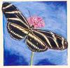 [Animal Art - Dee L. Sprague] Zebra Longwing Butterfly