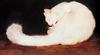 [Animal Art - Donna Lamb] Jody's Cat