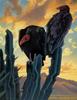 [Animal Art - Ed Mell] Desert Vultures