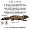 Gila Monster (Heloderma suspectum)