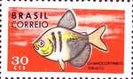 Stamp of Brazil: Gymnocorymbus ternetzi (black tetra)
