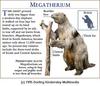Giant Ground Sloth (Megatherium sp.)