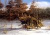 [Consigliere S4 - The Art of Terry Redlin] Rusty Refuge I