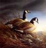 [Consigliere S4 - The Art of Terry Redlin] Canada Geese