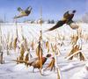 [Consigliere S4 - The Wildfowl of David Maass] A Touch Of Winter-Pheasants