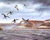 [Consigliere S4 - The Wildfowl of David Maass] Reserve Bay-Canavasbacks