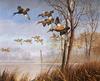 [Consigliere S4 - The Wildfowl of David Maass] Morning Mist-Blue Winged Teal