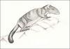 Laotian Rock Rat (Laonastes aenigmamus) - Wiki