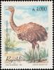 Darwin's Rhea (Rhea pennata) - Wiki