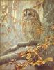 [LRS Animals In Art] lrsAA13 Bateman Robert - Tawny Owl in Beech